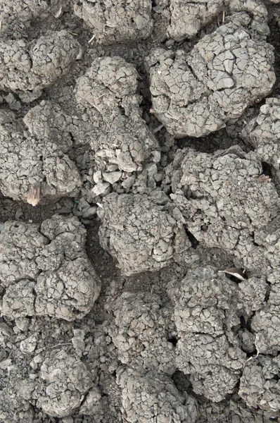 Terreno reseco por sequía — Foto de Stock