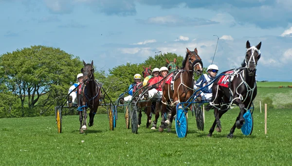 Carrera de trote — Foto de Stock