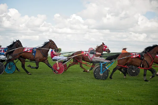 Carrera de trote, agosto de 2014 en Synod Inn, Cardigan, Gales . — Foto de Stock