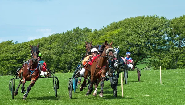 Carrera de trote — Foto de Stock