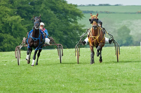 Trotting Race — Stock Photo, Image