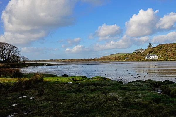 Nevern Flussmündung Papageienpembrokeshire — Stockfoto