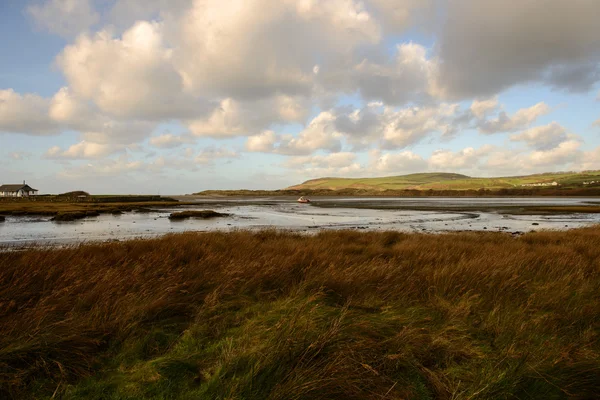 Estuário de Nevern Parrog Pembrokeshire — Fotografia de Stock