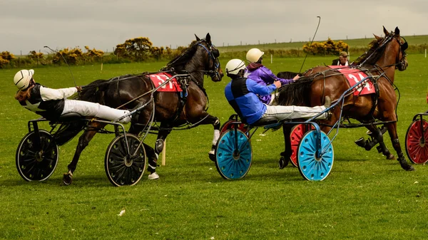 Travlopp på Talgarreg. — Stockfoto