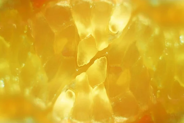 Sitrik Dişli Limon Dokusu — Stok fotoğraf