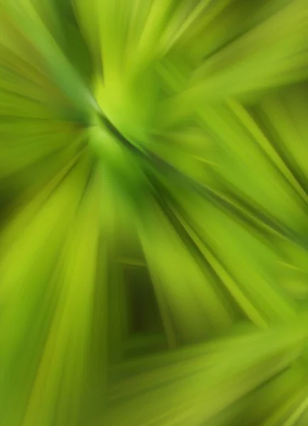 Grassy Bursted Blurred Texture — Stock Photo, Image