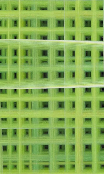 草模板网状网格 — 图库照片
