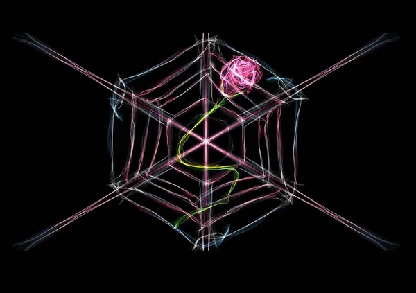 Spinnwebe Mit Gebogener Rose — Stockfoto