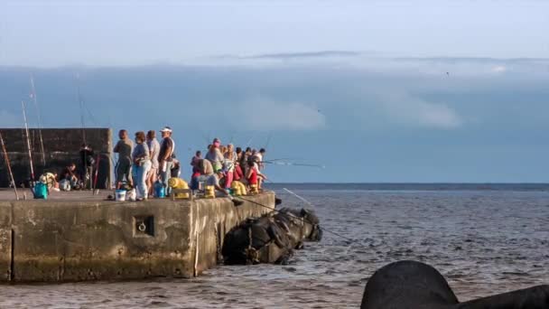 Makrelenfischen im Hafen von Angra do heroismo, Azoren, Makrelenlaterne Rohvideo — Stockvideo