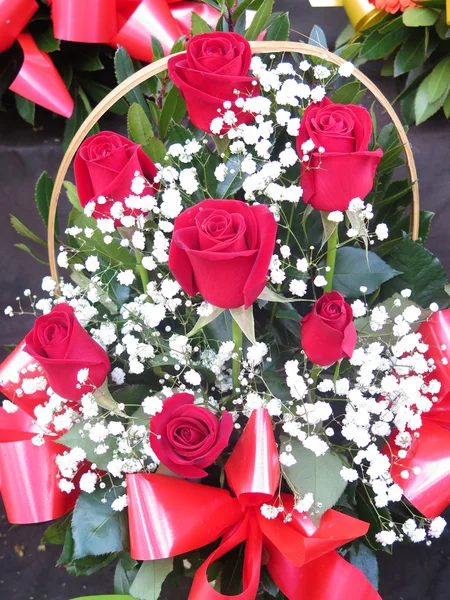 Красиві Троянди червоні — стокове фото