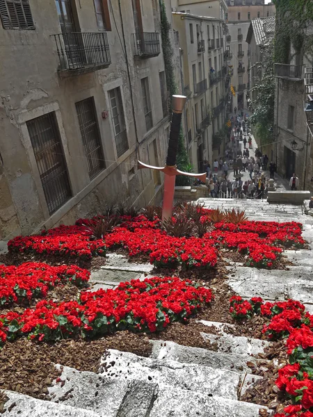 Village festivals Girona — Stock Photo, Image