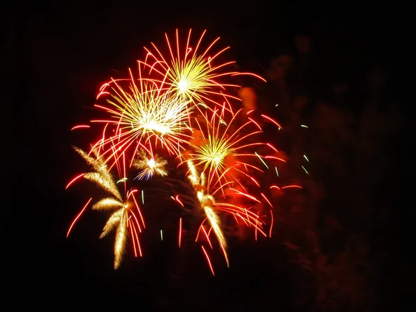 Fuegos artificiales —  Fotos de Stock