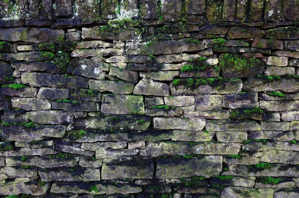 Πράσινα Βρύα Που Αναπτύσσονται Στον Παλιό Στοιβαγμένο Τοίχο Φράχτη Πέτρες — Φωτογραφία Αρχείου