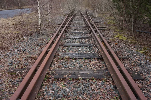 Velho Vapor Britânico Trilhos Ferroviários Cobertos Árvores Linha Férrea Vintage — Fotografia de Stock