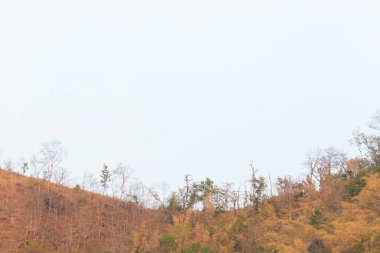 Kanchanaburi, Tayland 'da bir barajda rafting.