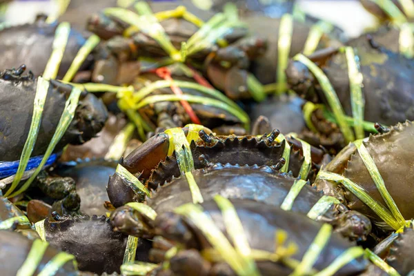 Crab Înot Proaspăt Congelat Albastru Piața Fructelor Mare — Fotografie, imagine de stoc