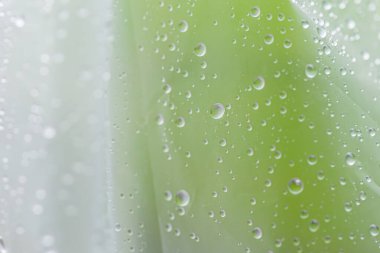 Plastik poşetin üzerine bir damla su.