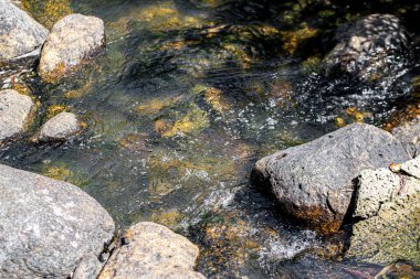 Tayland 'ın tropik yağmur ormanlarında şelale