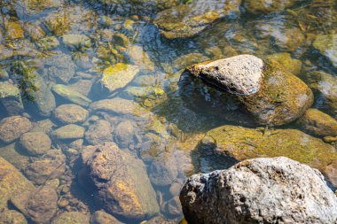 Tayland 'ın tropik yağmur ormanlarında şelale