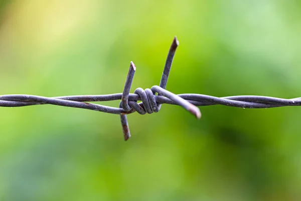 Barbed Wire Barbed Wire Fence Blue Sky Feel Worrying — Stock Photo, Image