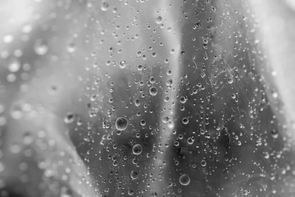 Gotas Agua Bolsa Plástico — Foto de Stock