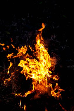Siyah arka planda parlak bir alev