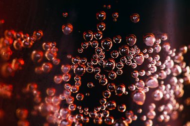 Yağmur ormanlarının yağmur mevsiminde yaprakların üzerindeki su damlacıkları 