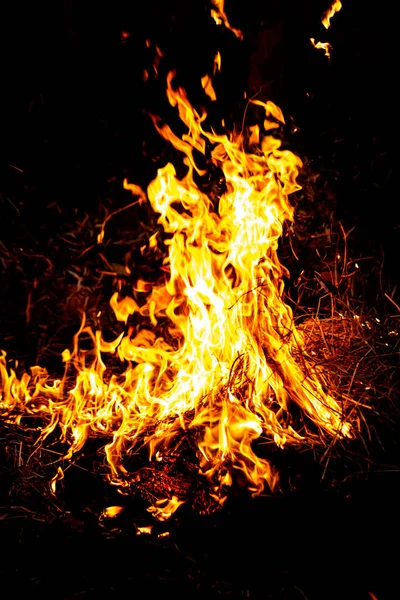 Siyah arka planda parlak bir alev