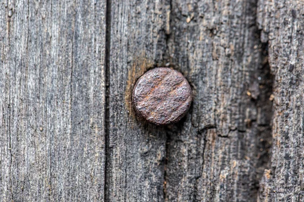 Closeup Nail Rusty Old Wood Background — Stock Photo, Image