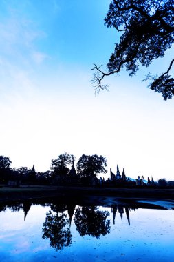 Güneş ışınları sabah sisi ve ağacı delip geçiyor.