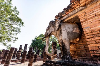 Antik Filler, Tayland 'daki Dünya Mirası' ndan biri olan Sukhothai Tarih Parkı 'ndaki Wat Sorasak' taki pagoda çevresinde sıkışmışlar.