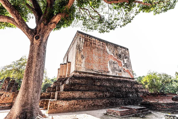 Wat Chum Történelmi Park Thaiföldön Mahathat Ősi Fővárosa Sukhothai Thaiföld — Stock Fotó