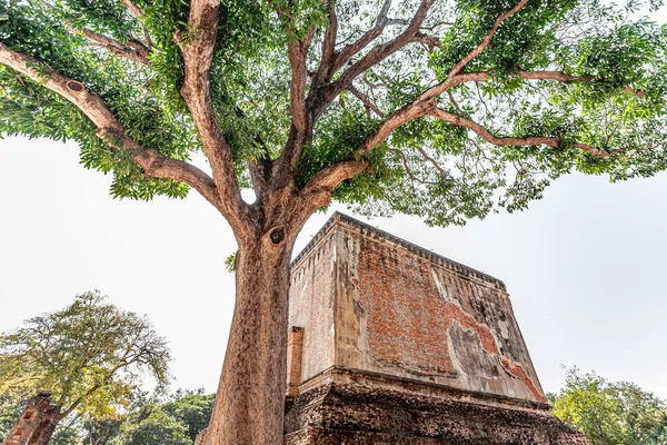 Wat Chum Történelmi Park Thaiföldön Mahathat Ősi Fővárosa Sukhothai Thaiföld — Stock Fotó