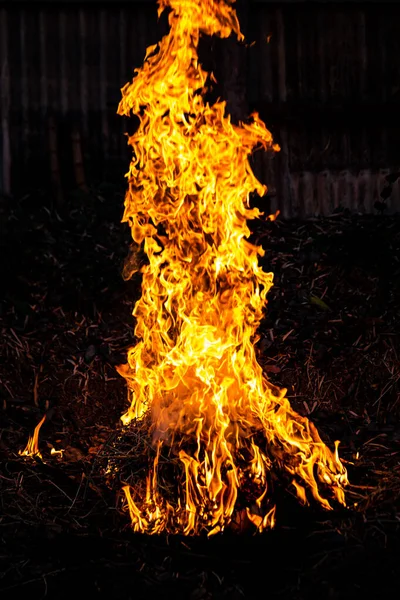 Het Vuur Verbrandt Nachts Rijststro Hooi Het Veld — Stockfoto
