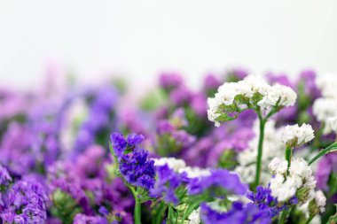 Statis sepetin üzerindeki bukette kurumuş çiçekler.