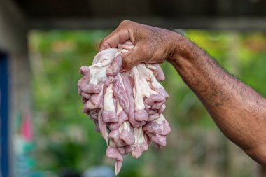 Şefin elinde taze domuz köftesi.