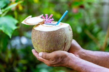 Çiğ beyaz hindistan cevizi içeceği.