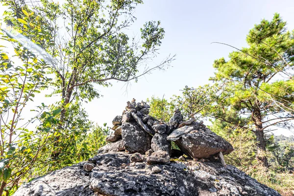 Grandi Alberi Molti Decenni Forniscono Ombra Habitat Gli Animali Oltre — Foto Stock