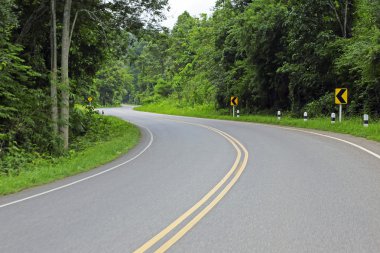 taze yeşil virajlı bir yol