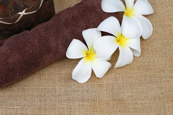 Flor en madera — Foto de Stock