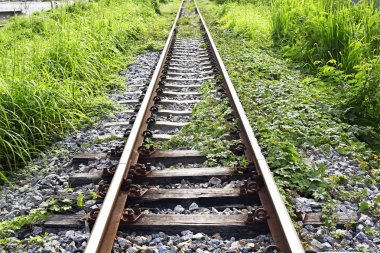Tren geçerken bir satýr kırsal Tayland.