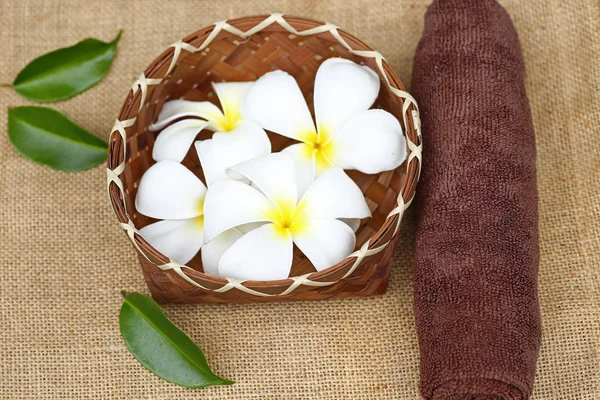 Flor sobre fondo de madera con bodegón spa — Foto de Stock