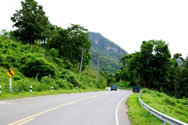 Une route sinueuse d'arbre vert frais — Photo