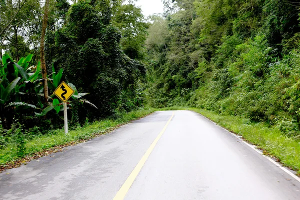 Uma estrada curvilínea de árvore verde fresca — Fotografia de Stock