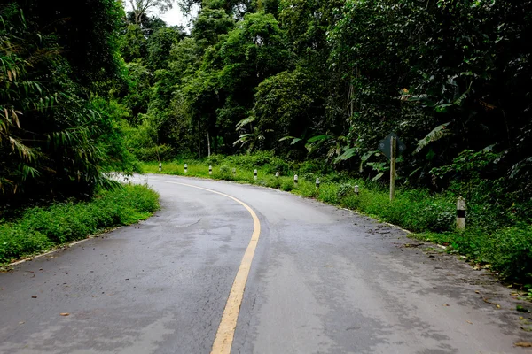 Uma estrada curvilínea de árvore verde fresca — Fotografia de Stock