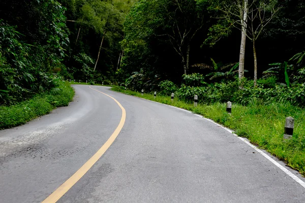 Uma estrada curvilínea de árvore verde fresca — Fotografia de Stock