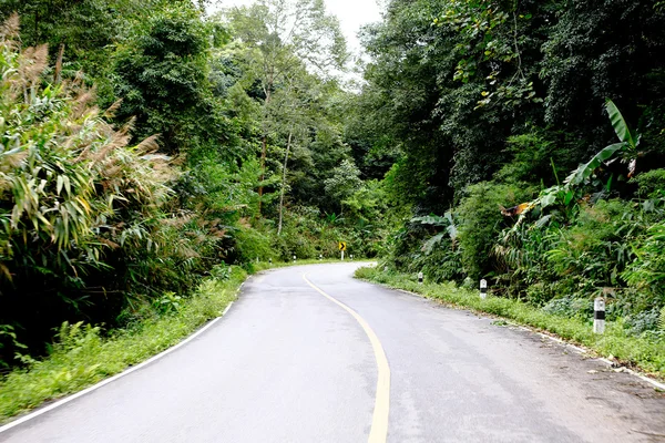 Uma estrada curvilínea de árvore verde fresca — Fotografia de Stock