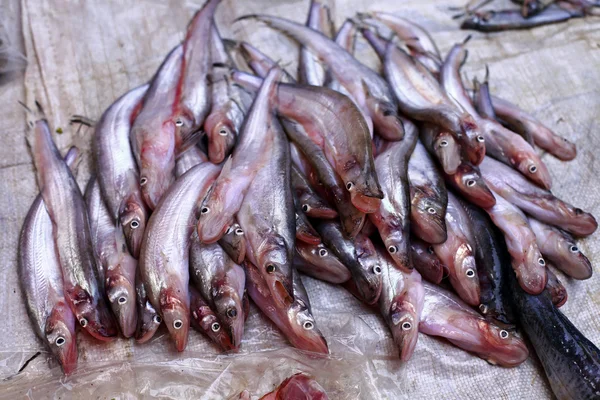 Venta de bacalao en el mercado local, Tailandia —  Fotos de Stock