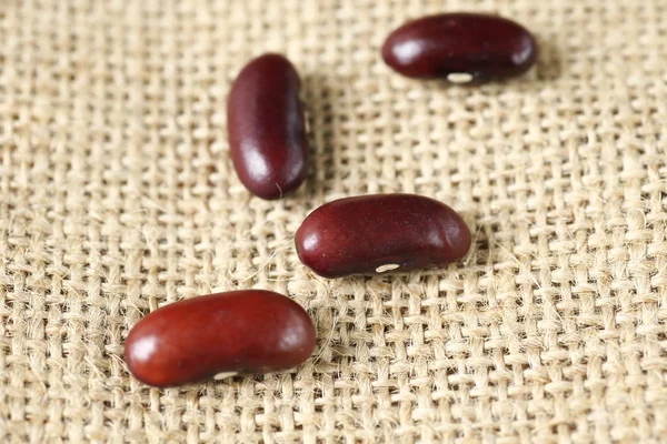 Kacang Kidney Meksiko yang diawetkan merah — Stok Foto