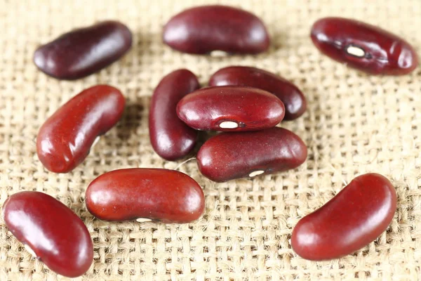 Kacang Kidney Meksiko yang diawetkan merah — Stok Foto